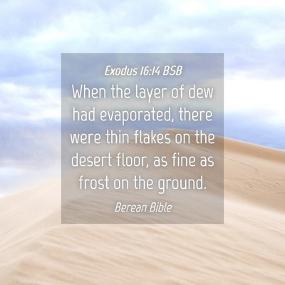 Picture 04 - Exodus 16:14 BSB - When the layer of dew had evaporated, there were - Bible Verse Picture