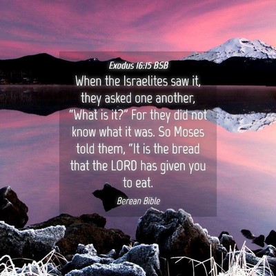 Picture 04 - Exodus 16:15 BSB - When the Israelites saw it, they asked one - Bible Verse Picture