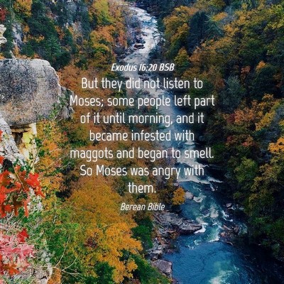 Picture 04 - Exodus 16:20 BSB - But they did not listen to Moses; some people - Bible Verse Picture