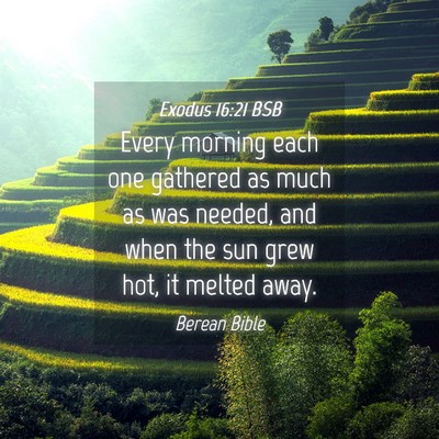 Picture 04 - Exodus 16:21 BSB - Every morning each one gathered as much as was - Bible Verse Picture