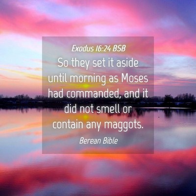 Picture 04 - Exodus 16:24 BSB - So they set it aside until morning as Moses had - Bible Verse Picture