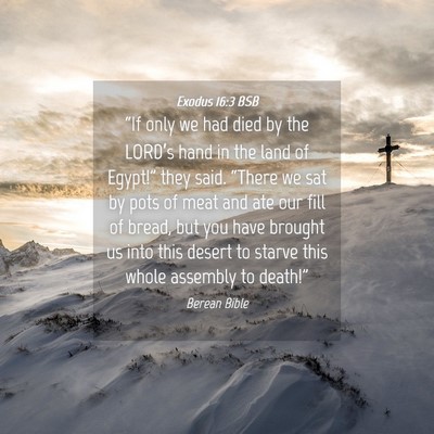 Picture 04 - Exodus 16:3 BSB - “If only we had died by the LORD’s hand in - Bible Verse Picture