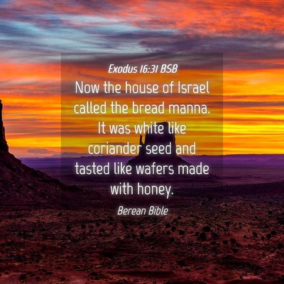 Picture 04 - Exodus 16:31 BSB - Now the house of Israel called the bread manna. - Bible Verse Picture