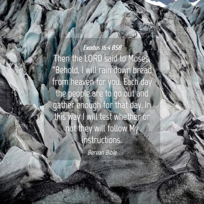 Picture 04 - Exodus 16:4 BSB - Then the LORD said to Moses, “Behold, I will - Bible Verse Picture