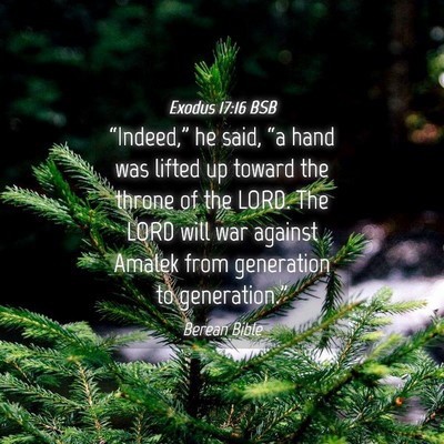 Picture 04 - Exodus 17:16 BSB - “Indeed,” he said, “a hand was lifted up - Bible Verse Picture