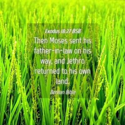 Picture 04 - Exodus 18:27 BSB - Then Moses sent his father-in-law on his way, and - Bible Verse Picture