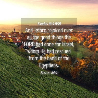 Picture 04 - Exodus 18:9 BSB - And Jethro rejoiced over all the good things the - Bible Verse Picture