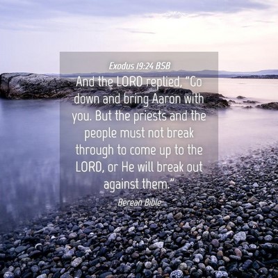 Picture 04 - Exodus 19:24 BSB - And the LORD replied, “Go down and bring Aaron - Bible Verse Picture