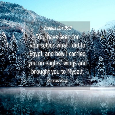 Picture 04 - Exodus 19:4 BSB - ‘You have seen for yourselves what I did to - Bible Verse Picture