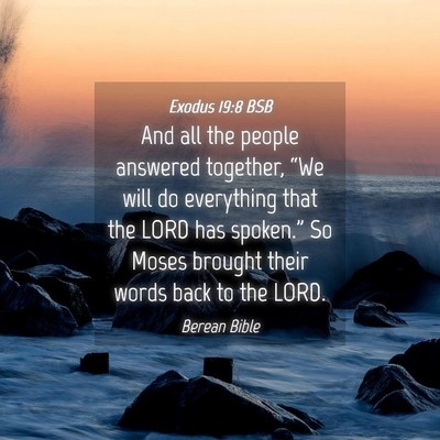 Picture 04 - Exodus 19:8 BSB - And all the people answered together, “We will - Bible Verse Picture