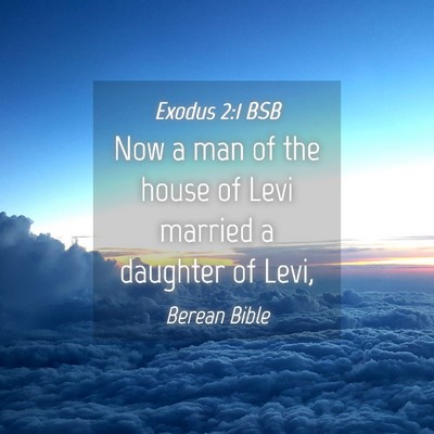 Picture 04 - Exodus 2:1 BSB - Now a man of the house of Levi married a daughter - Bible Verse Picture