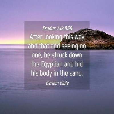 Picture 04 - Exodus 2:12 BSB - After looking this way and that and seeing no - Bible Verse Picture