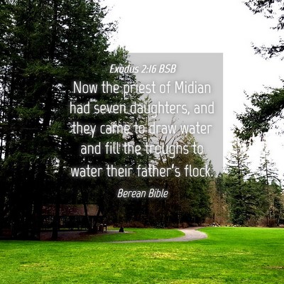 Picture 04 - Exodus 2:16 BSB - Now the priest of Midian had seven daughters, and - Bible Verse Picture
