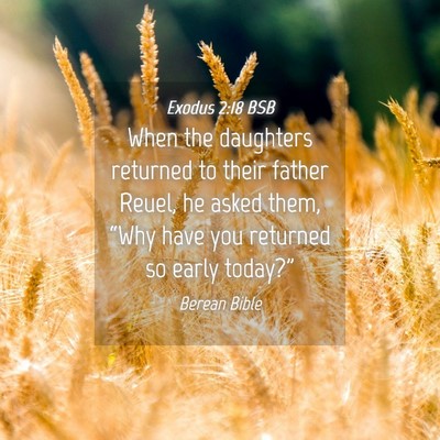 Picture 04 - Exodus 2:18 BSB - When the daughters returned to their father - Bible Verse Picture