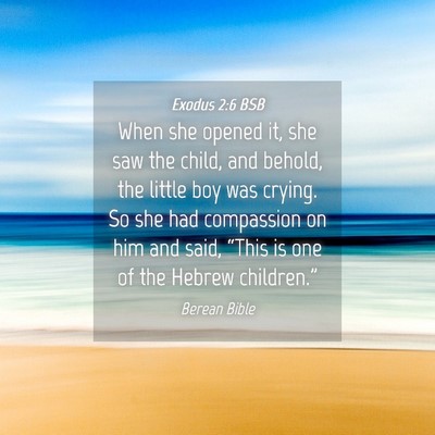 Picture 04 - Exodus 2:6 BSB - When she opened it, she saw the child, and - Bible Verse Picture
