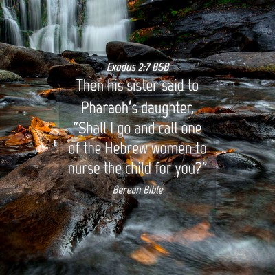 Picture 04 - Exodus 2:7 BSB - Then his sister said to Pharaoh’s daughter, - Bible Verse Picture