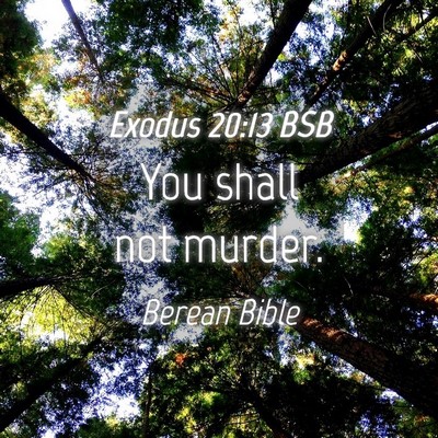Picture 04 - Exodus 20:13 BSB - You shall not - Bible Verse Picture