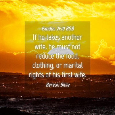 Picture 04 - Exodus 21:10 BSB - If he takes another wife, he must not reduce the - Bible Verse Picture