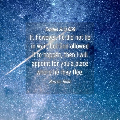Picture 04 - Exodus 21:13 BSB - If, however, he did not lie in wait, but God - Bible Verse Picture