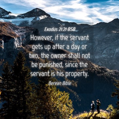 Picture 04 - Exodus 21:21 BSB - However, if the servant gets up after a day or - Bible Verse Picture