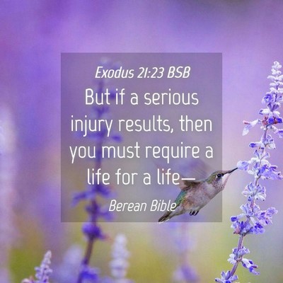 Picture 04 - Exodus 21:23 BSB - But if a serious injury results, then you must - Bible Verse Picture