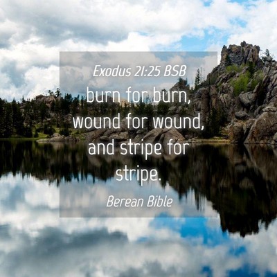 Picture 04 - Exodus 21:25 BSB - burn for burn, wound for wound, and stripe for - Bible Verse Picture