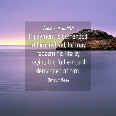 Picture 04 - Exodus 21:30 BSB - If payment is demanded of him instead, he may - Bible Verse Picture