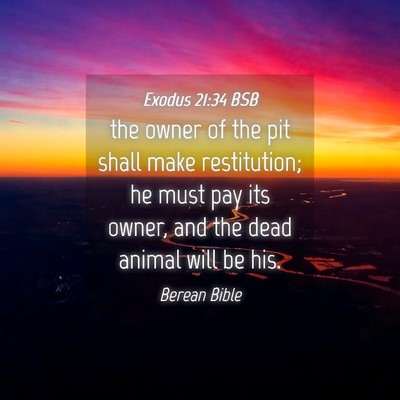Picture 04 - Exodus 21:34 BSB - the owner of the pit shall make restitution; he - Bible Verse Picture