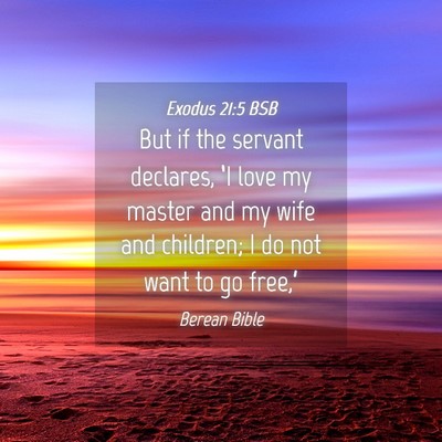 Picture 04 - Exodus 21:5 BSB - But if the servant declares, ‘I love my master - Bible Verse Picture