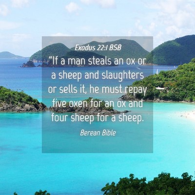 Picture 04 - Exodus 22:1 BSB - “If a man steals an ox or a sheep and - Bible Verse Picture