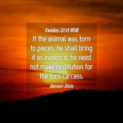 Picture 04 - Exodus 22:13 BSB - If the animal was torn to pieces, he shall bring - Bible Verse Picture