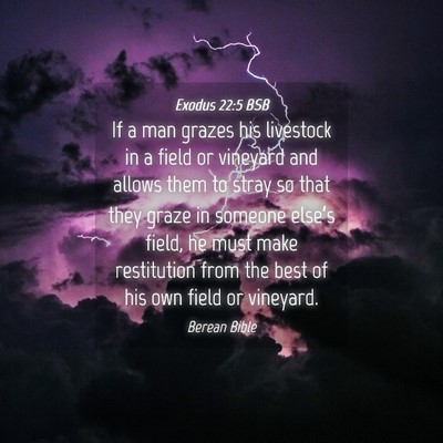 Picture 04 - Exodus 22:5 BSB - If a man grazes his livestock in a field or - Bible Verse Picture