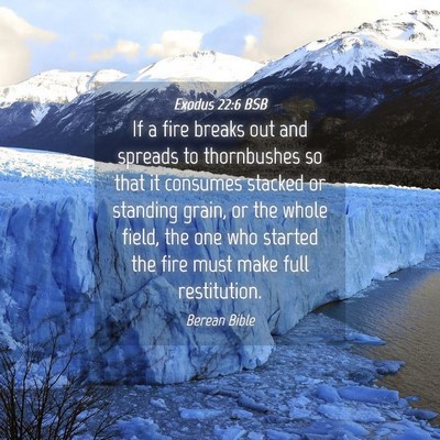 Picture 04 - Exodus 22:6 BSB - If a fire breaks out and spreads to thornbushes - Bible Verse Picture