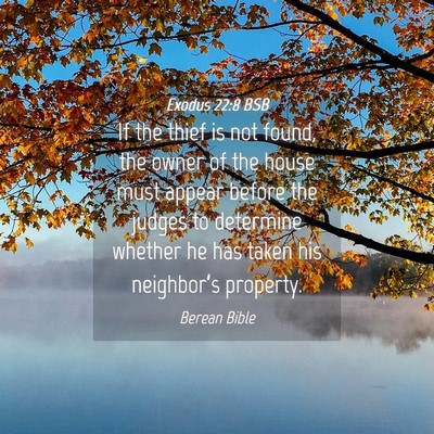 Picture 04 - Exodus 22:8 BSB - If the thief is not found, the owner of the house - Bible Verse Picture