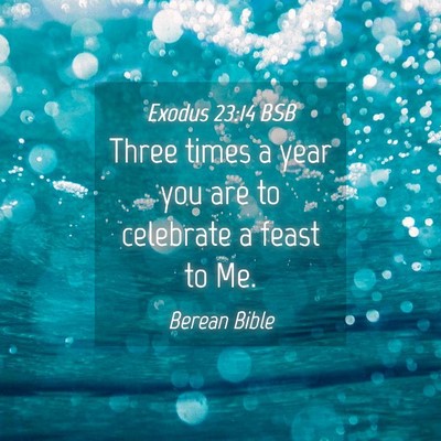 Picture 04 - Exodus 23:14 BSB - Three times a year you are to celebrate a feast - Bible Verse Picture