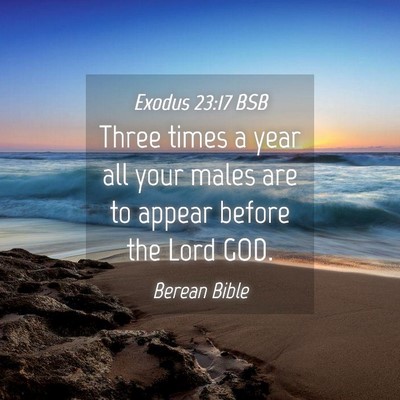 Picture 04 - Exodus 23:17 BSB - Three times a year all your males are to appear - Bible Verse Picture