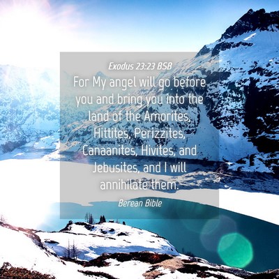 Picture 04 - Exodus 23:23 BSB - For My angel will go before you and bring you - Bible Verse Picture