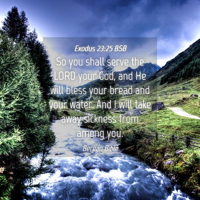 Picture 04 - Exodus 23:25 BSB - So you shall serve the LORD your God, and He will - Bible Verse Picture