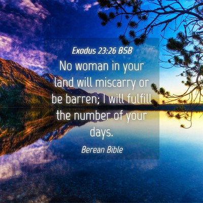 Picture 04 - Exodus 23:26 BSB - No woman in your land will miscarry or be barren; - Bible Verse Picture