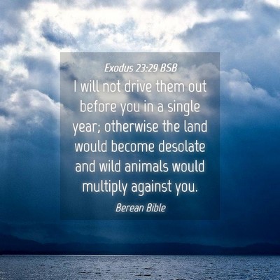Picture 04 - Exodus 23:29 BSB - I will not drive them out before you in a single - Bible Verse Picture