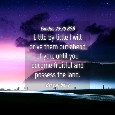 Picture 04 - Exodus 23:30 BSB - Little by little I will drive them out ahead of - Bible Verse Picture