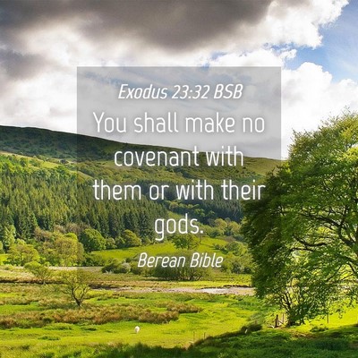 Picture 04 - Exodus 23:32 BSB - You shall make no covenant with them or with - Bible Verse Picture