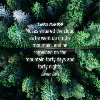 Picture 04 - Exodus 24:18 BSB - Moses entered the cloud as he went up on the - Bible Verse Picture