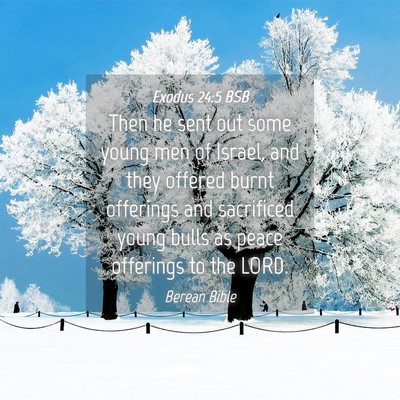 Picture 04 - Exodus 24:5 BSB - Then he sent out some young men of Israel, and - Bible Verse Picture