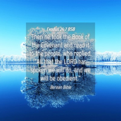 Picture 04 - Exodus 24:7 BSB - Then he took the Book of the Covenant and read it - Bible Verse Picture