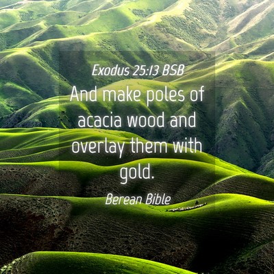 Picture 04 - Exodus 25:13 BSB - And make poles of acacia wood and overlay them - Bible Verse Picture