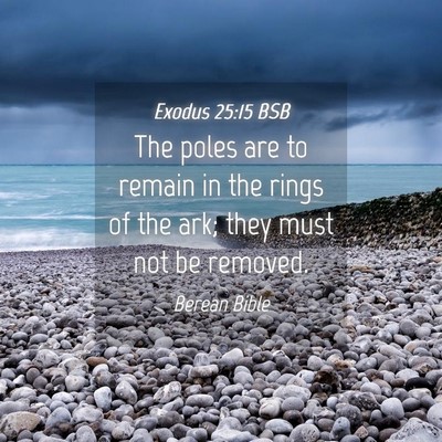 Picture 04 - Exodus 25:15 BSB - The poles are to remain in the rings of the ark; - Bible Verse Picture