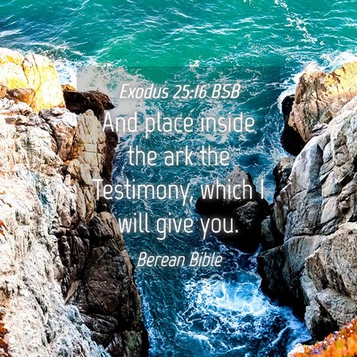 Picture 04 - Exodus 25:16 BSB - And place inside the ark the Testimony, which I - Bible Verse Picture