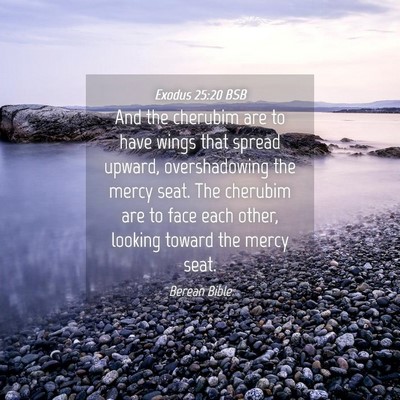 Picture 04 - Exodus 25:20 BSB - And the cherubim are to have wings that spread - Bible Verse Picture