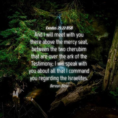 Picture 04 - Exodus 25:22 BSB - And I will meet with you there above the mercy - Bible Verse Picture